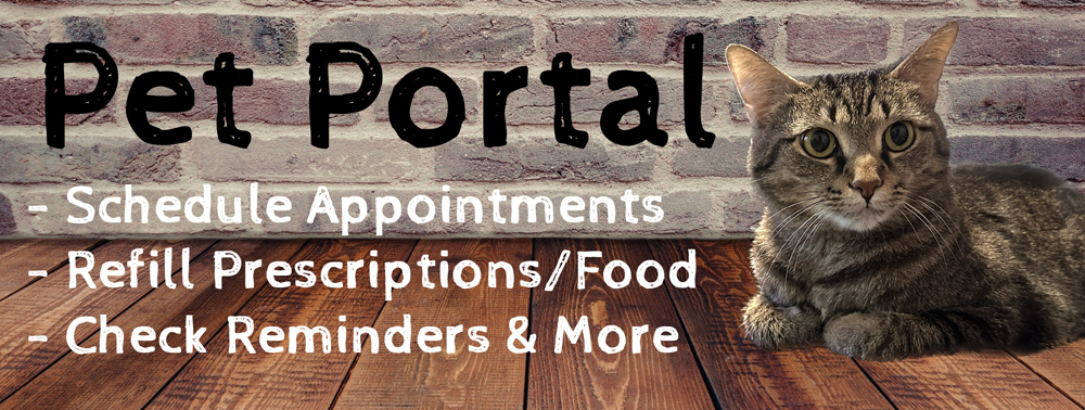 Pet Portal - Appointments, Refills, and More