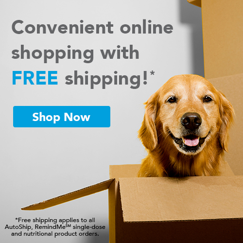 Free shipping on food and medication refills